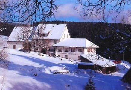 Pension Loeffelschmiede Lenzkirch Eksteriør billede